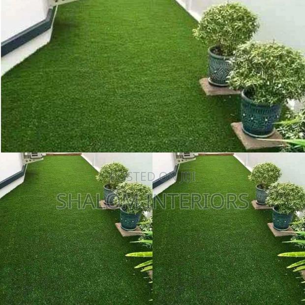 Turf Grass Turf Grass Turf Grass Turf Grass