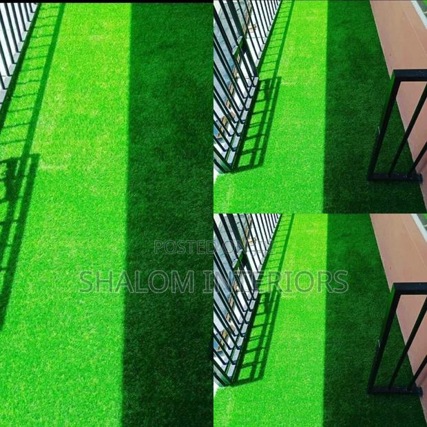 Turf Grass Turf Grass Turf Grass Turf Grass