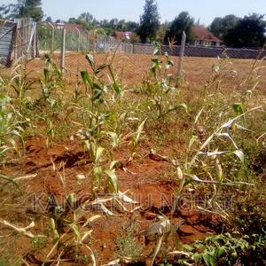 Half Acre Runda Mumwe - main view