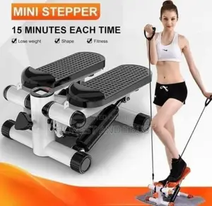 Mini Stepper