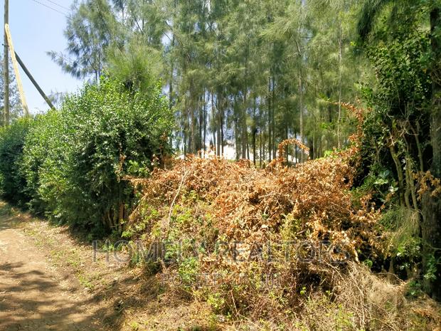 Eighth Acre Plot In Kiserian, Kaurai. Large With Trees - thumbnail 3