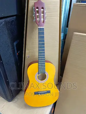 Classical Guitar Size 34 '