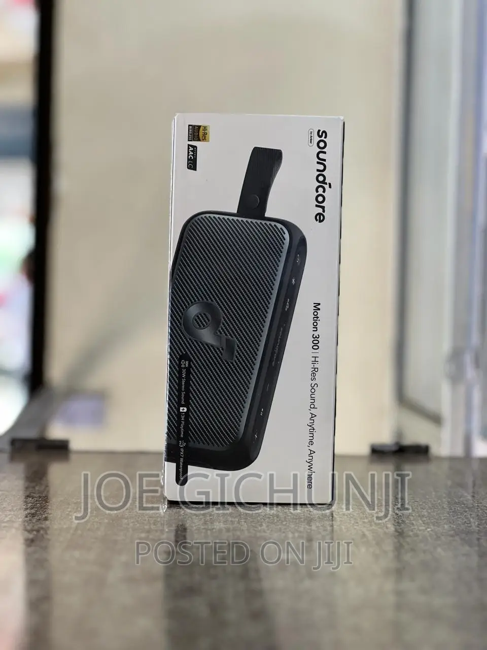 Anker Soundcore Motion 300