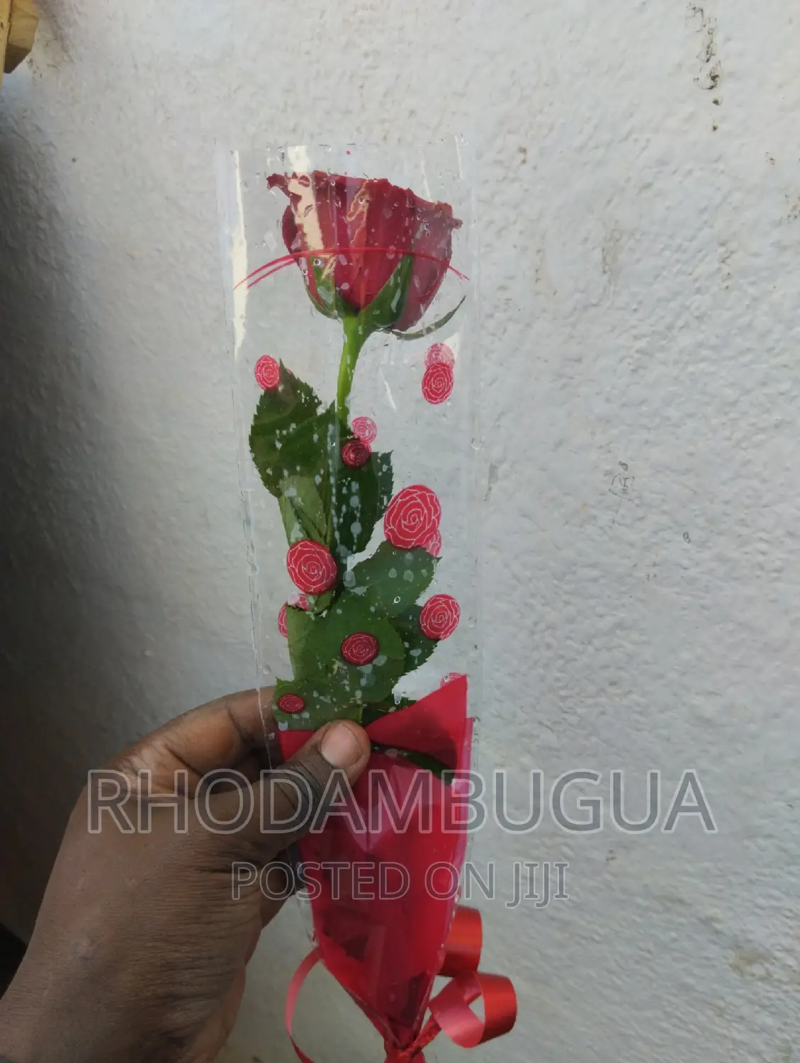 Single Rose