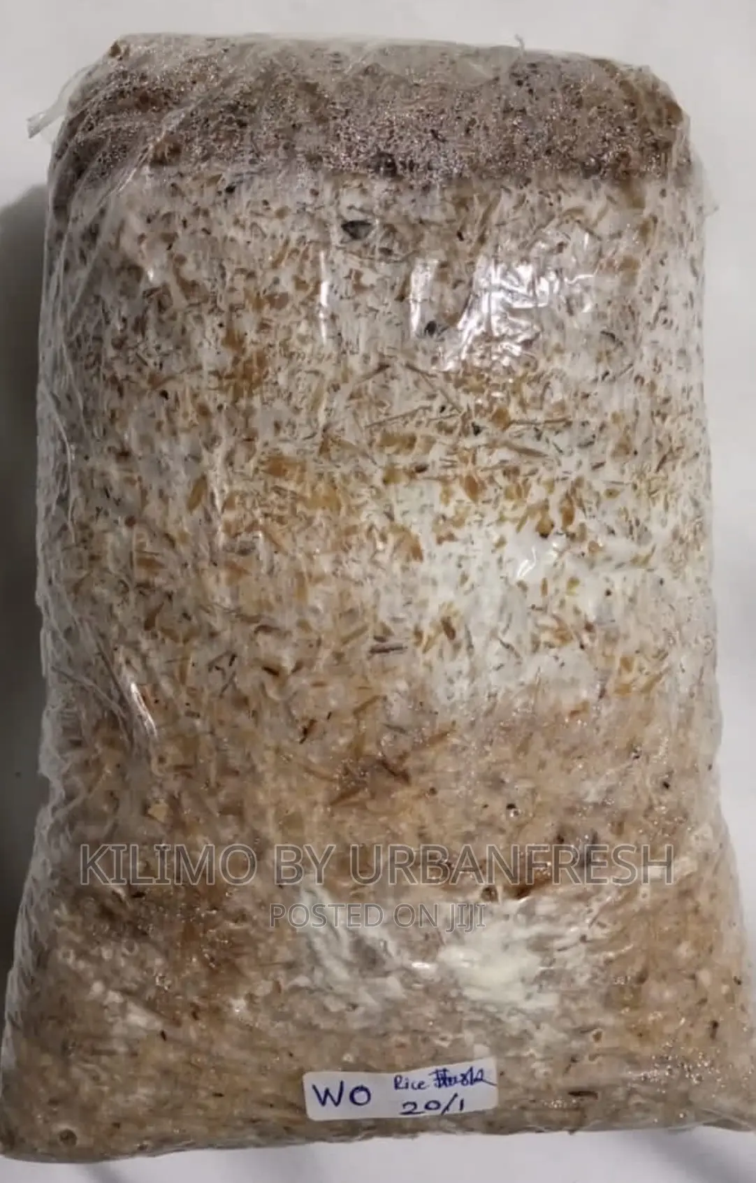 Mushroom Spawn: Shittake/Ganoderma/Button/Oyster.