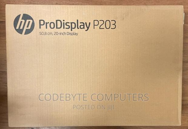 HP Prodisplay P203 Monitor