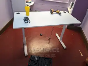 Office Ergonomic Electric Adjustable Standing Desk