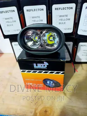 Oval Clear Sports Lights