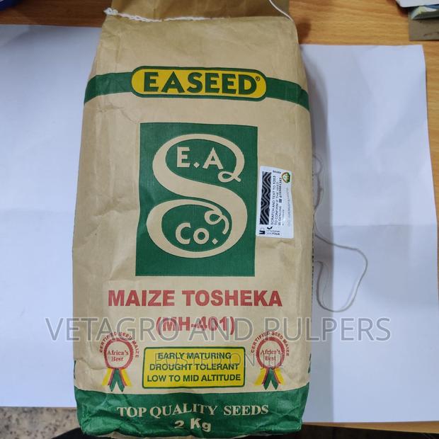 Maize Tosheka MH 401 Seeds