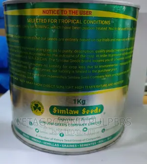 Hybrid Sudan Grass Forage Sorghurm Seeds