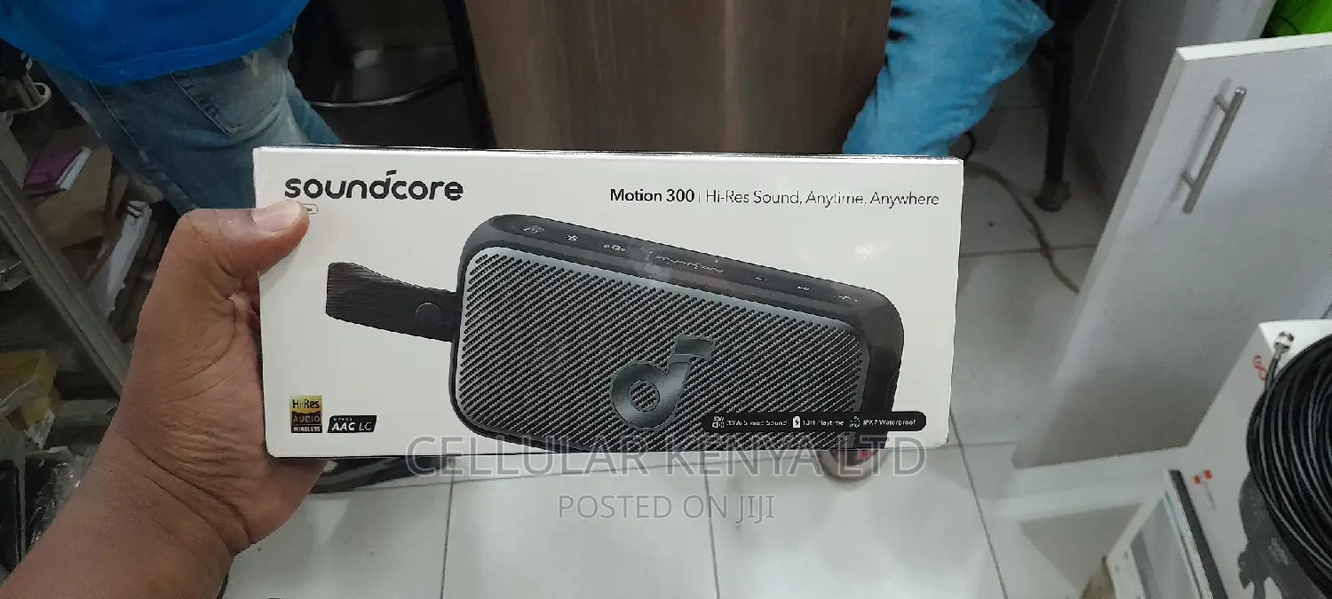 Soundcore Motion 300 Wireless Speaker 30W