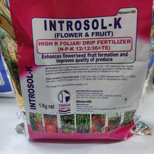 Introsol K - thumbnail 2