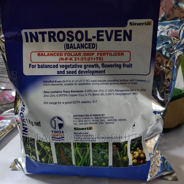 Introsol Even - main view