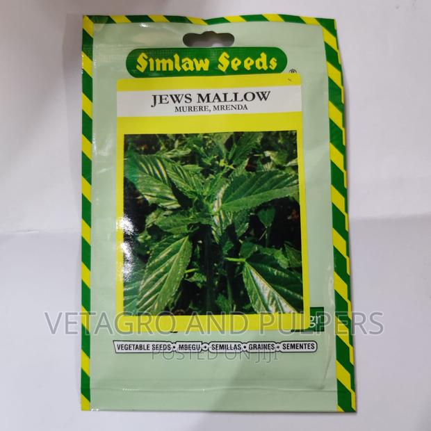 Jews Mallow Mrenda/Murere Seeds