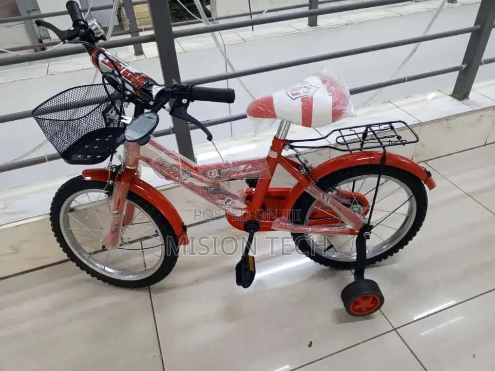 Lion King Bike