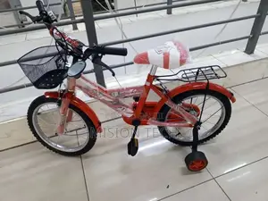 Lion King Bike