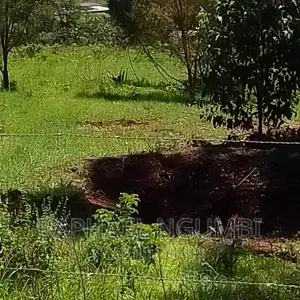 10 Acres at Mua Kitanga.
