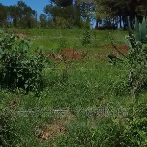 10 Acres at Mua Kitanga.