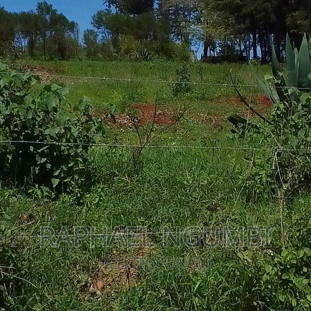 10 Acres at Mua Kitanga. - thumbnail 4