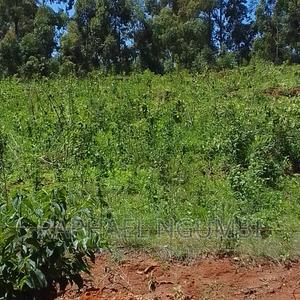 10 Acres at Mua Kitanga. - thumbnail 2