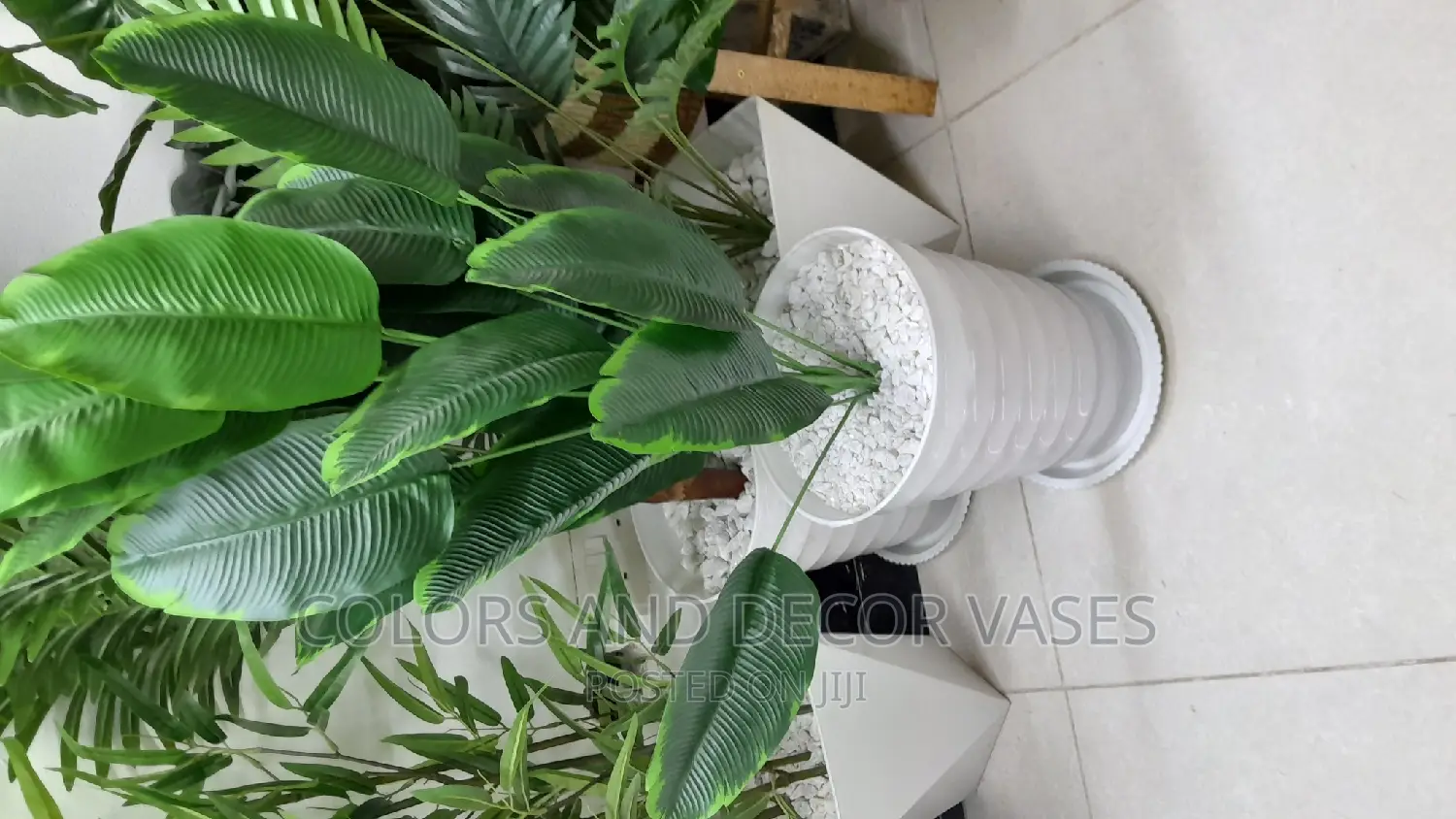 1m Long Banana Plant With Plastic Vase