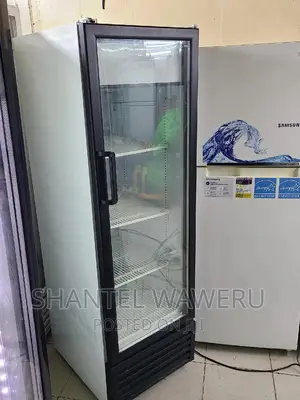 Display Fridge 300litres