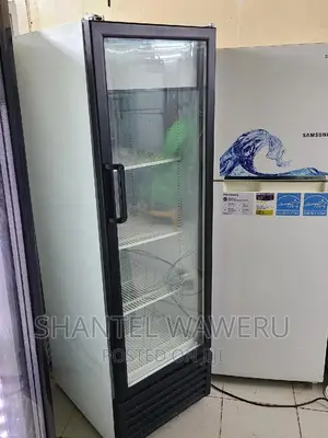 Display Fridge 300litres