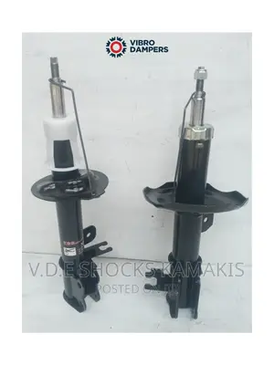 Chevrolet Buick Shock Absorbers