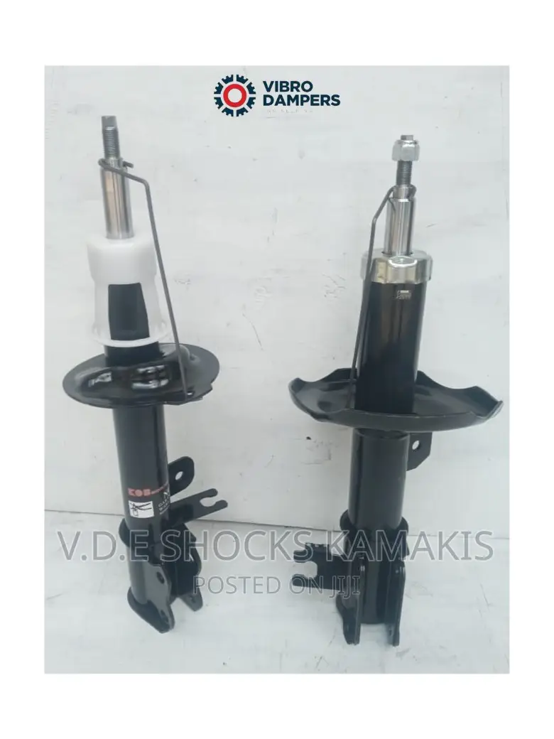 Chevrolet Buick Shock Absorbers