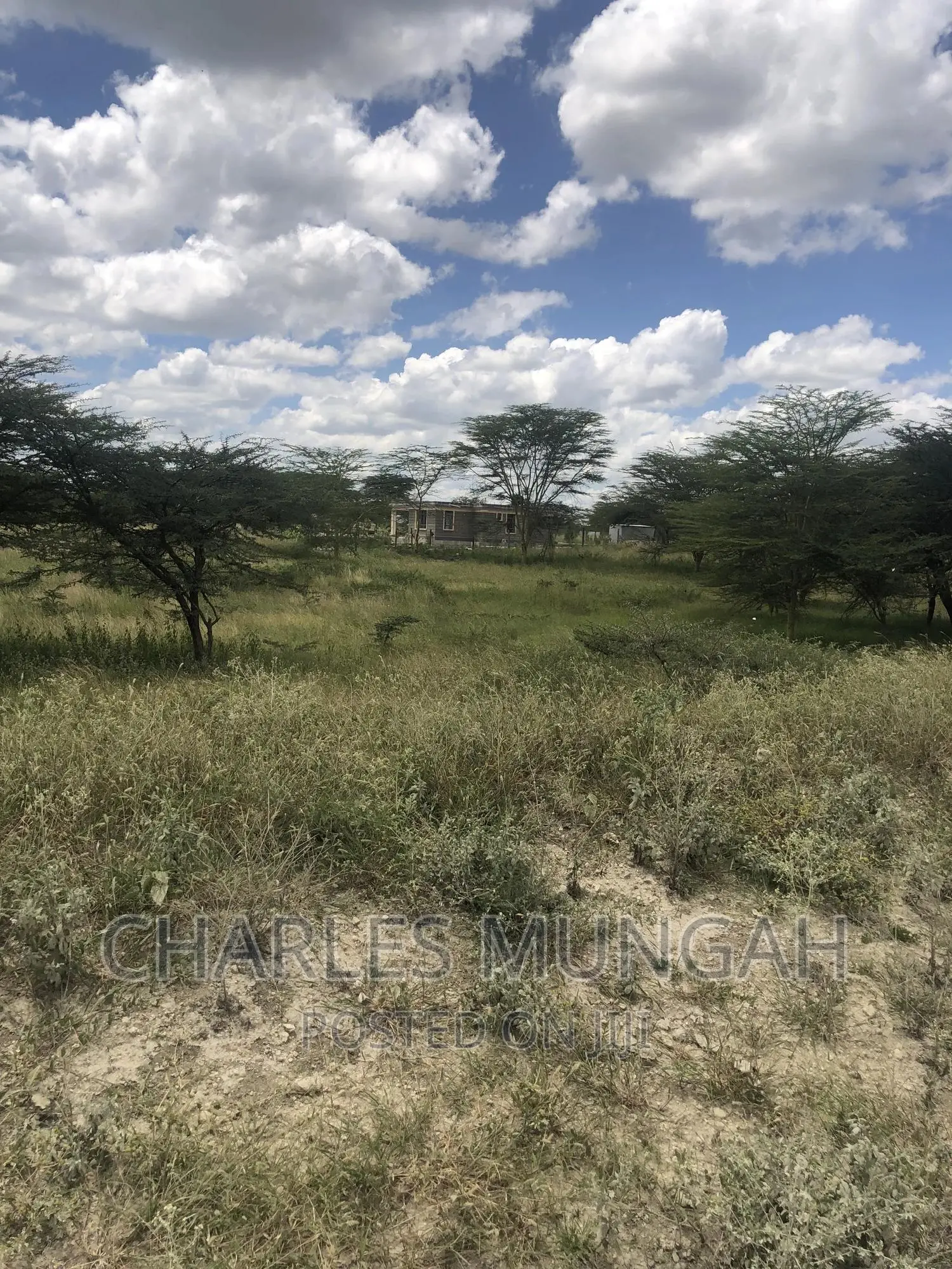 50X100 Plots in Isinya