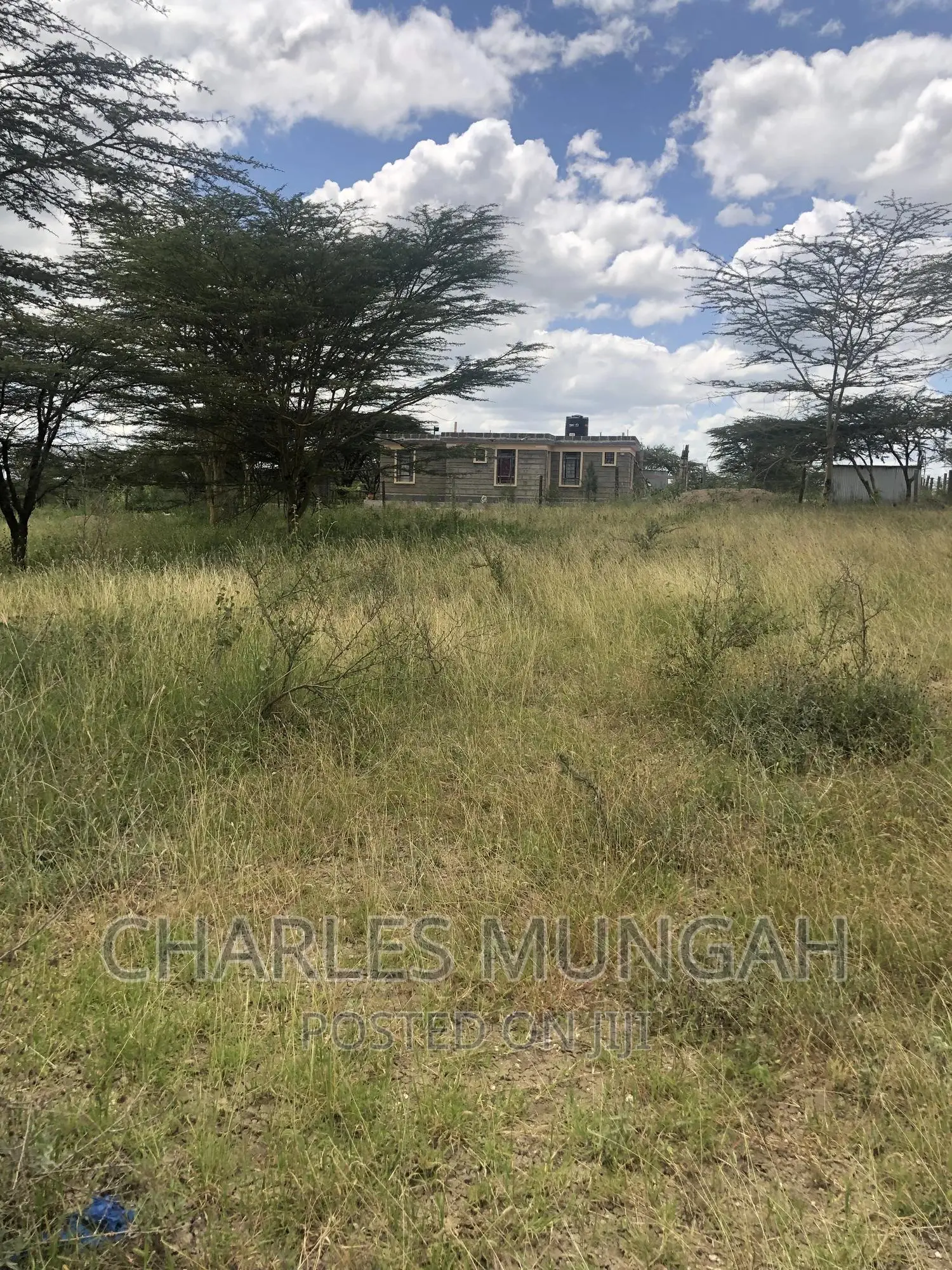 50X100 Plots in Isinya