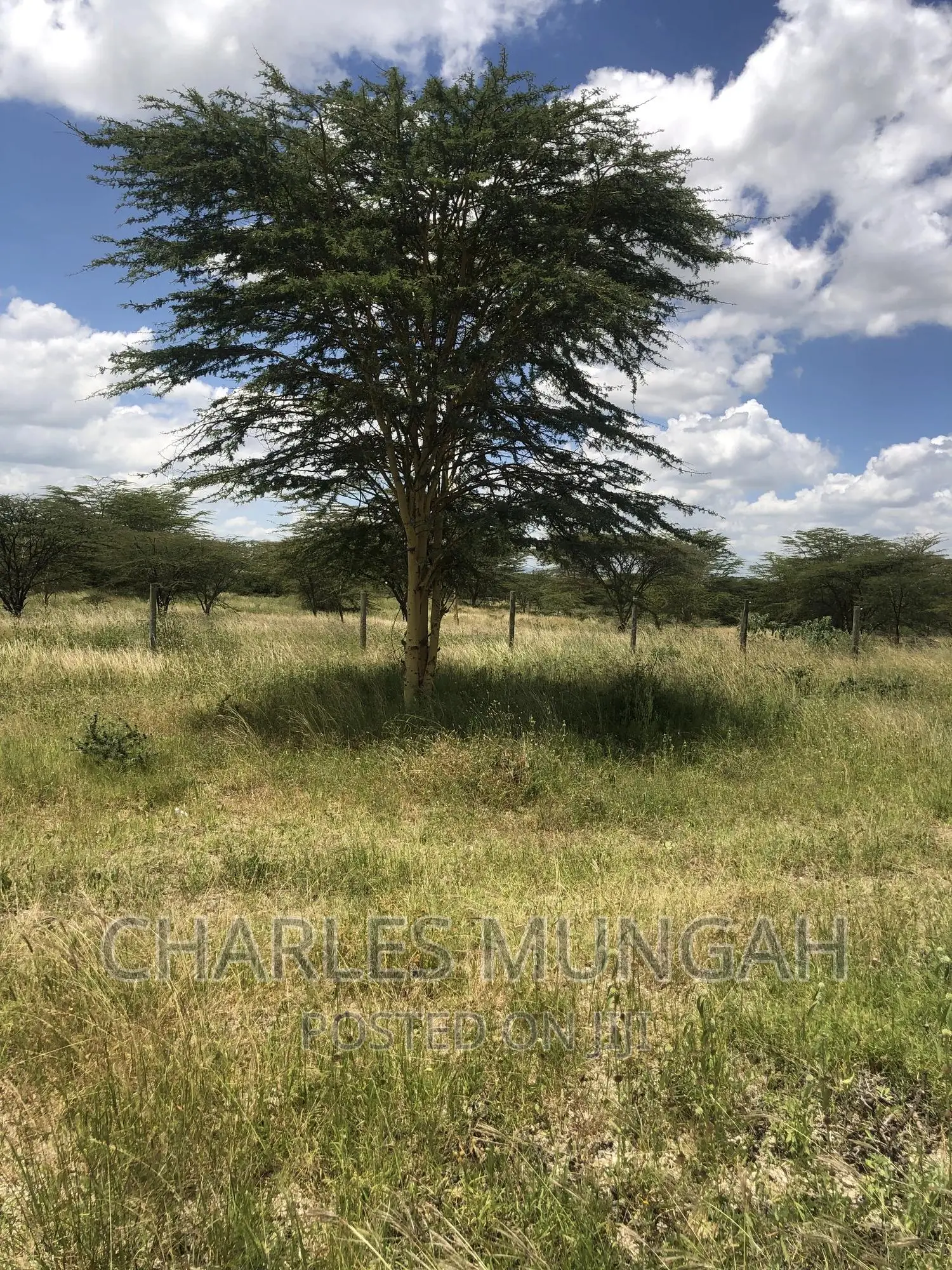 50X100 Plots in Isinya