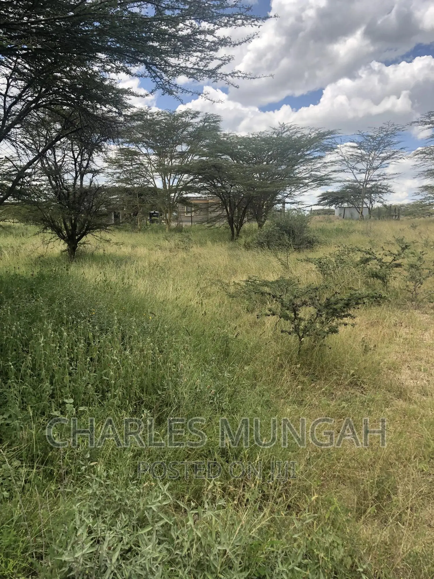 50X100 Plots in Isinya