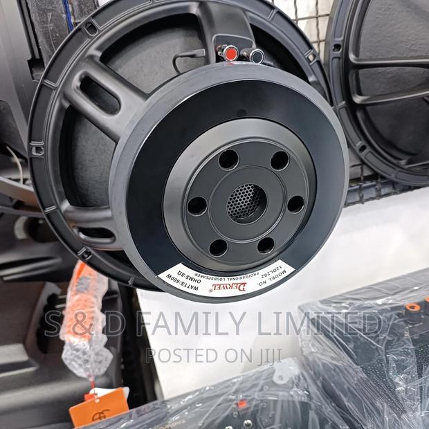 Derwel 12 Inch 600 Watts 12DL202 Speaker