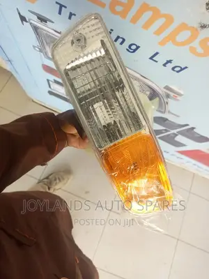 Rav4 Bumper Lamp (Yellow and Clear)