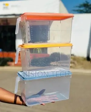 Fridge Container