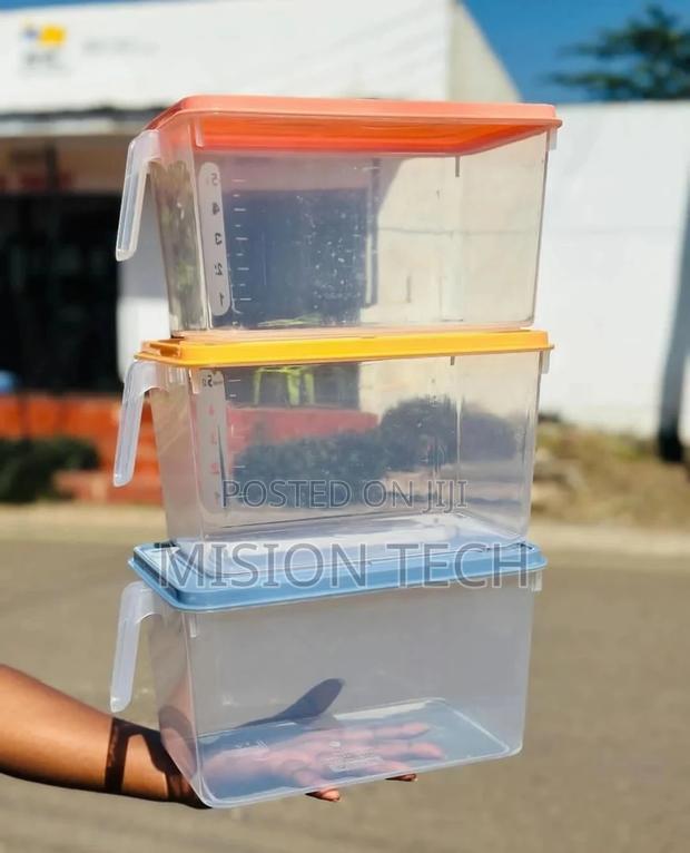 Fridge Container