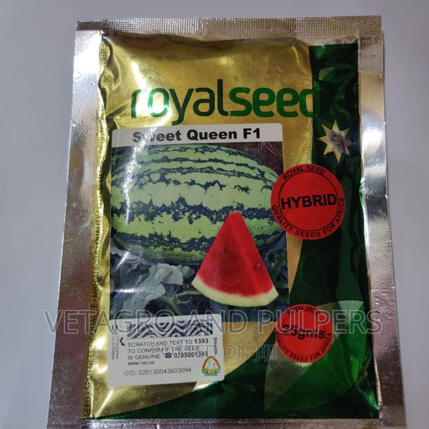Sweet Queen F1 Watermelon Royal Seed