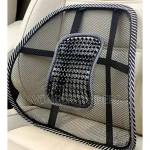 Car Seat and Office Chair Back Rest Mesh Support .