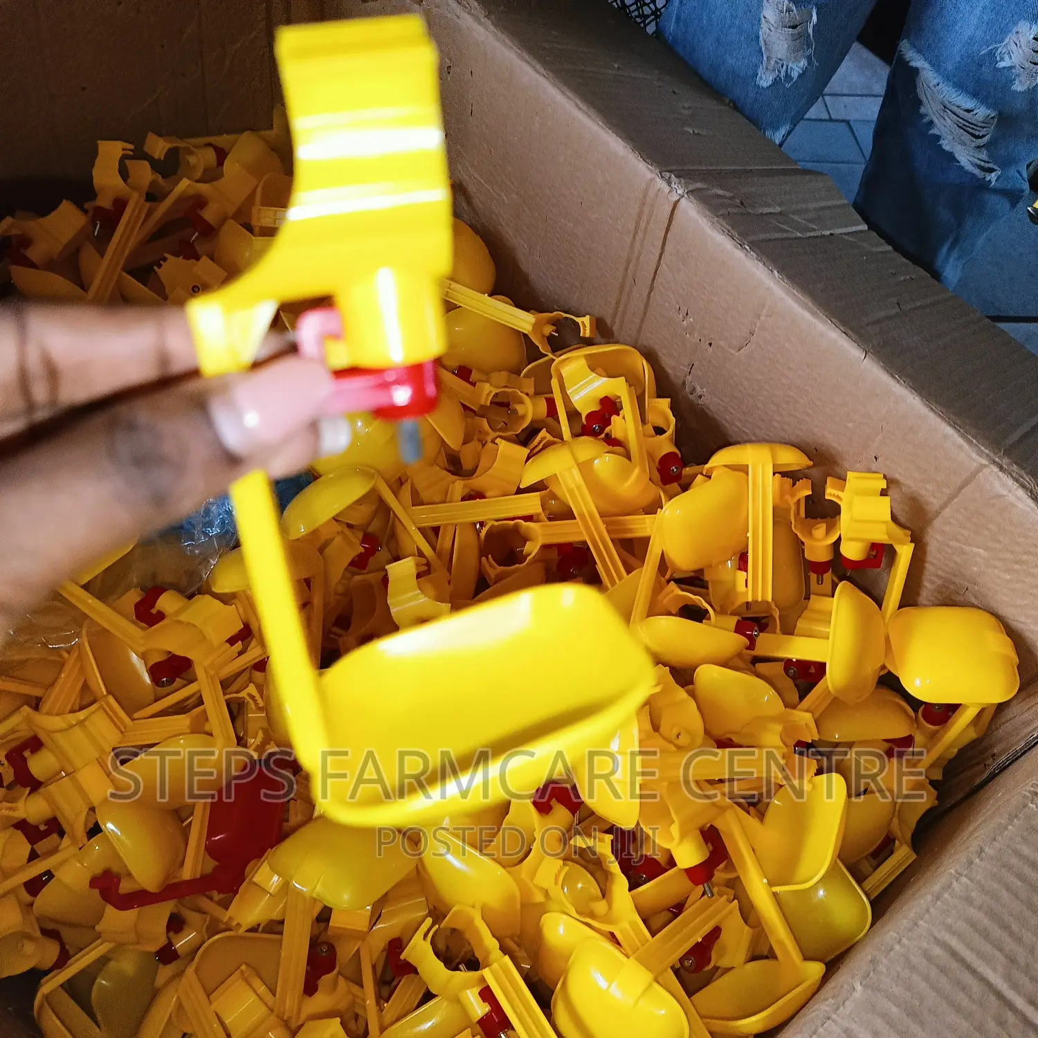 Yellow Chicken Nipple Drinkers With Single Cup