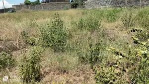 Quarter Acre at Muigai Inn Chai Estate