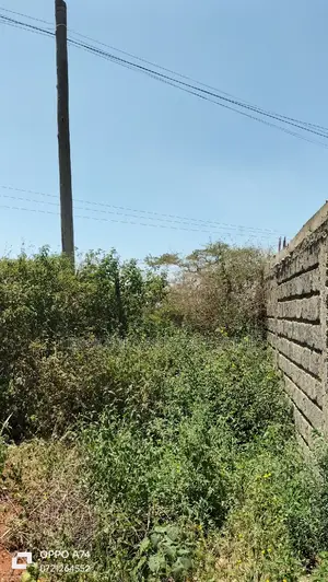 Quarter Acre at Muigai Inn Chai Estate