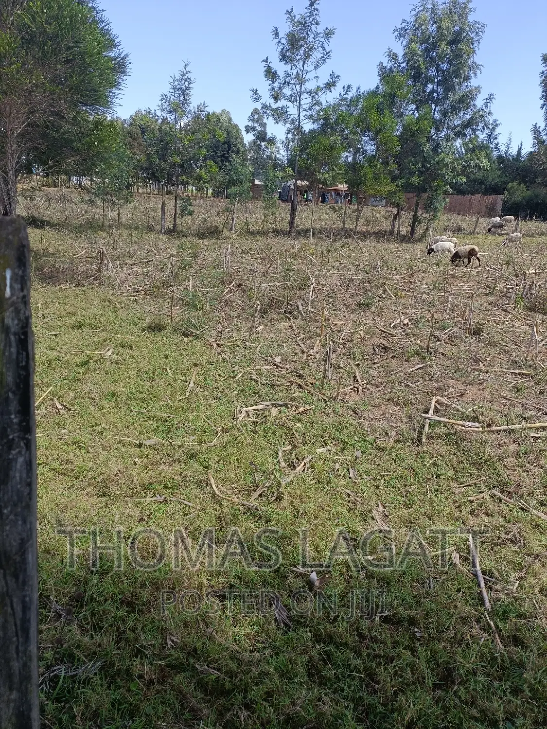 Prime 1⁄4 Acre Plots for Sale in Eldoret