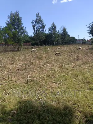 Prime 1⁄4 Acre Plots for Sale in Eldoret