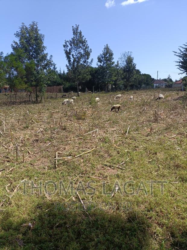 Prime 1⁄4 Acre Plots for Sale in Eldoret - thumbnail 6