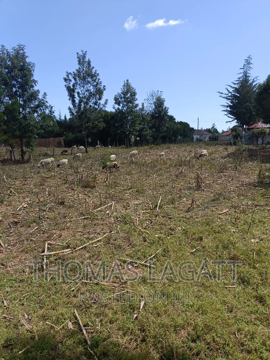 Prime 1⁄4 Acre Plots for Sale in Eldoret