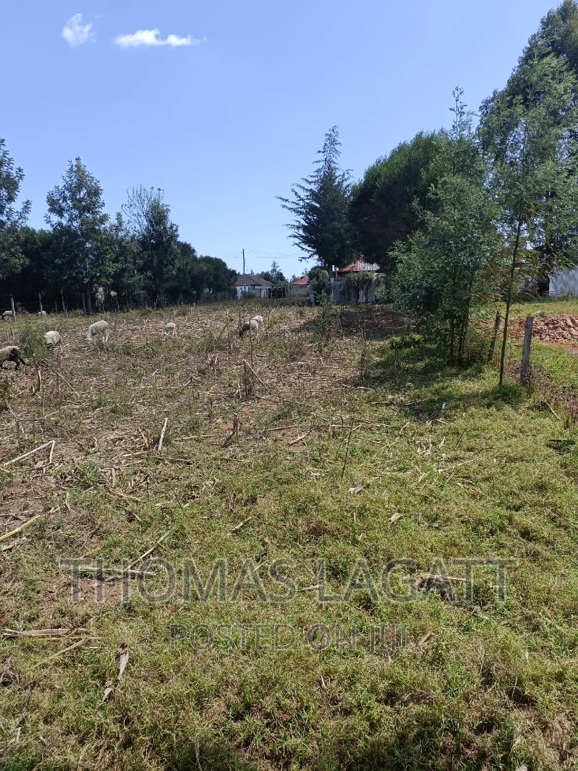Prime 1⁄4 Acre Plots for Sale in Eldoret
