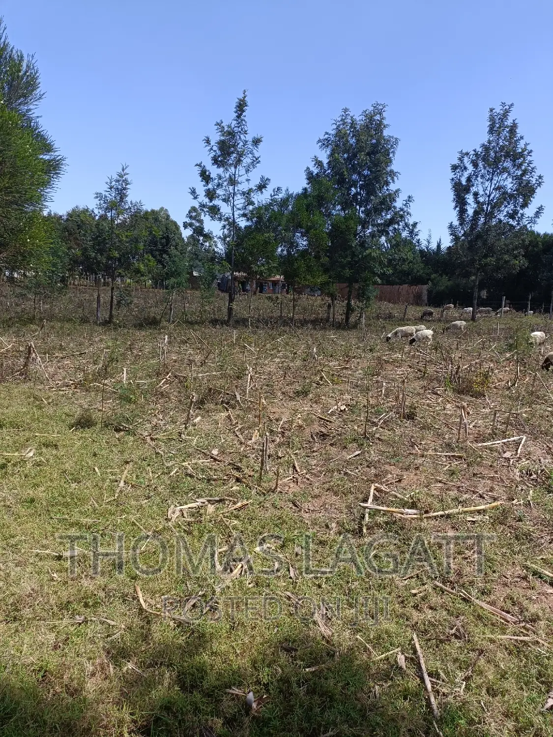 Prime 1⁄4 Acre Plots for Sale in Eldoret