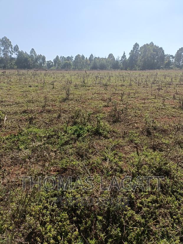 Eldoret 4 Acre Land on Sale - thumbnail 4