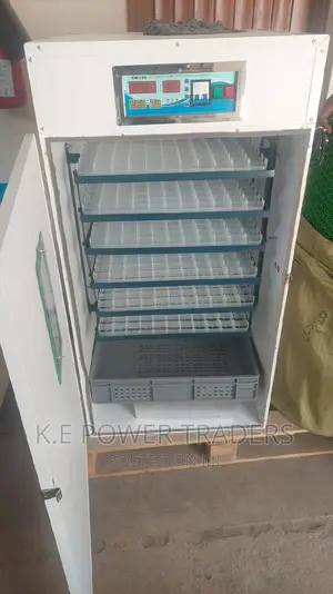 Best 528 Automatic Egg Incubator